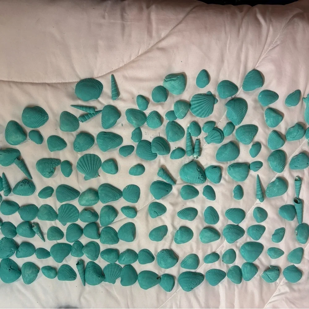 161 Aqua Teal Painted Real Seashells For Decorating Or Center Pieces
